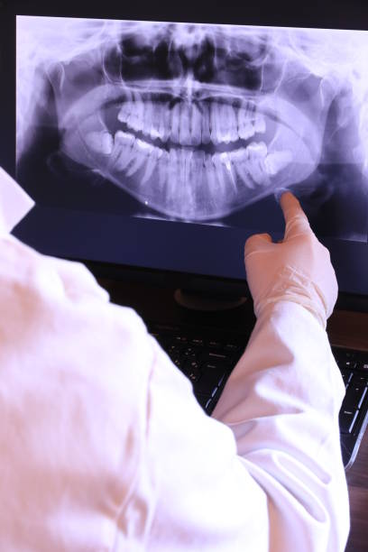 Best Emergency X-Rays and Diagnostics in Eldorado, IL